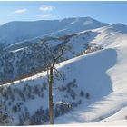 Winter auf dem Berg