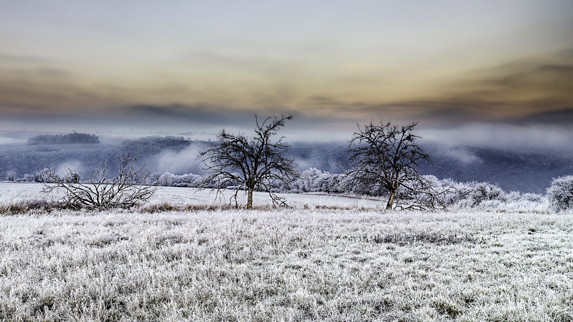 Winter auf dem Bleidenberg