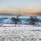 Winter auf dem Bleidenberg