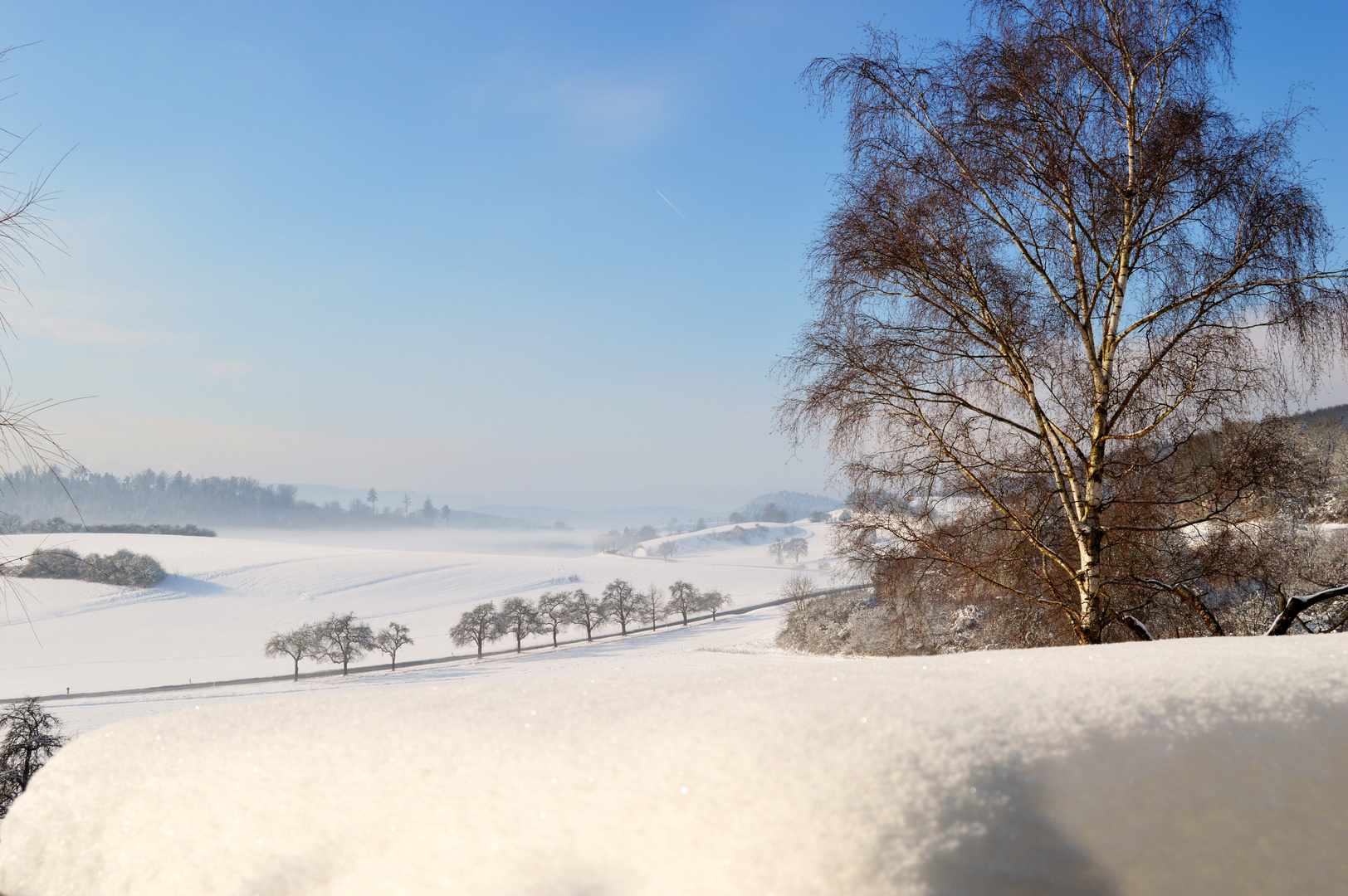 Winter auf dem Bodanrück