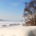 Winter auf dem Bodanrück