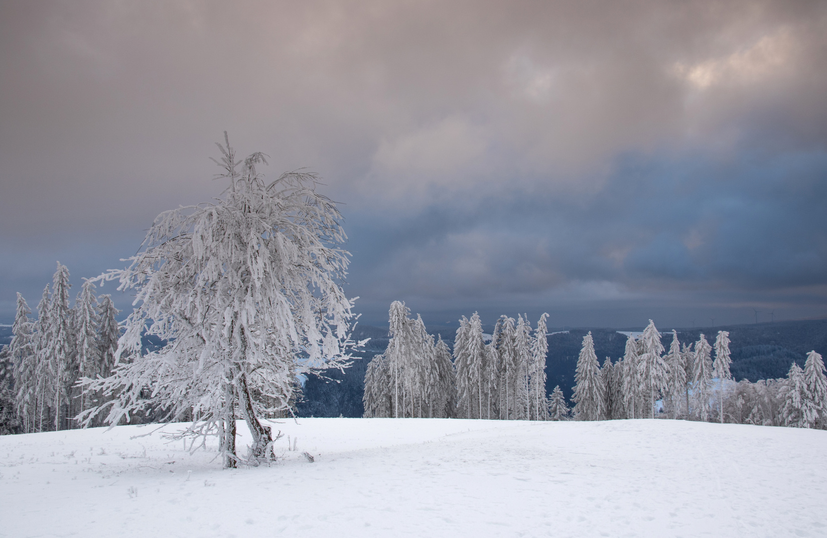 Winter auf dem Brend im Schwarzwald