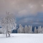 Winter auf dem Brend im Schwarzwald