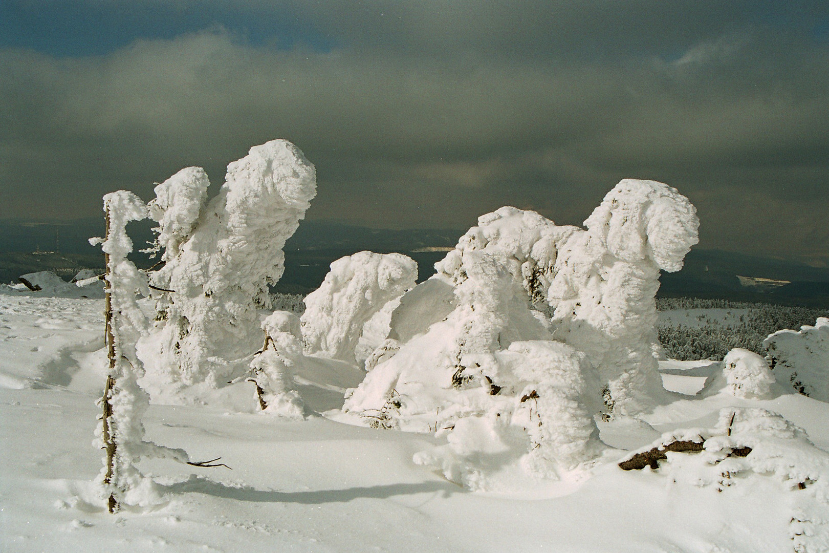 Winter auf dem Brocken (2005)