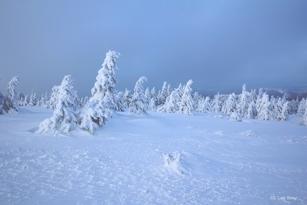 Winter auf dem Brocken