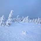 Winter auf dem Brocken