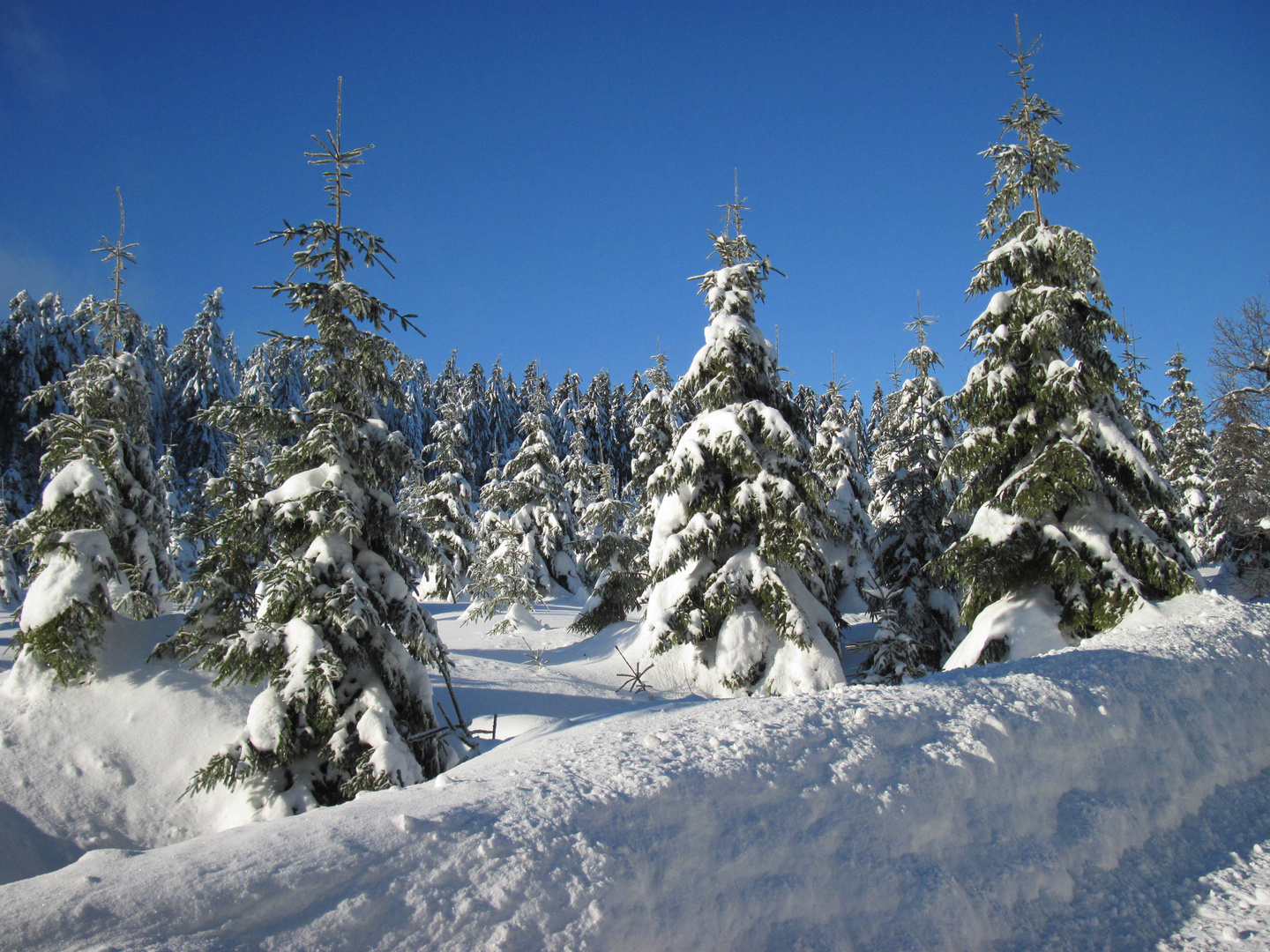 Winter auf dem Brocken