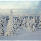 Winter auf dem Brocken