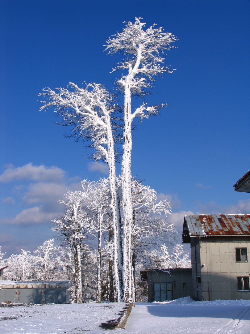 Winter auf dem Cerchov