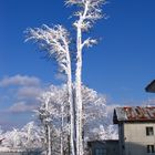 Winter auf dem Cerchov