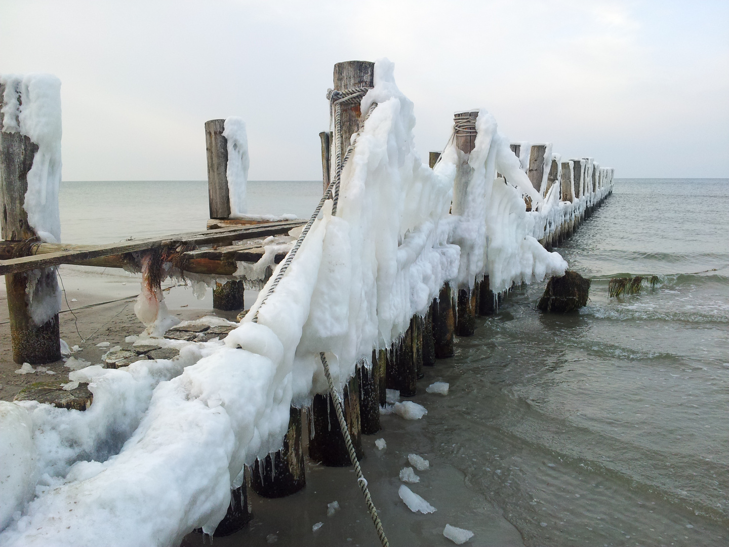 Winter auf dem Darss