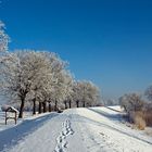 Winter auf dem Deich