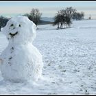 Winter auf dem Dinkelberg