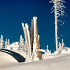 Winter auf dem Dreisesselberg 2