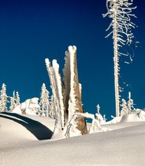 Winter auf dem Dreisesselberg 2