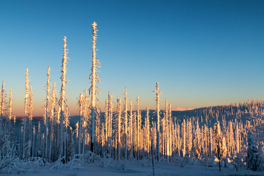 Winter auf dem Dreisesselberg 5