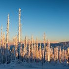 Winter auf dem Dreisesselberg 5