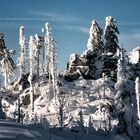 Winter auf dem Dreisesselberg 7 