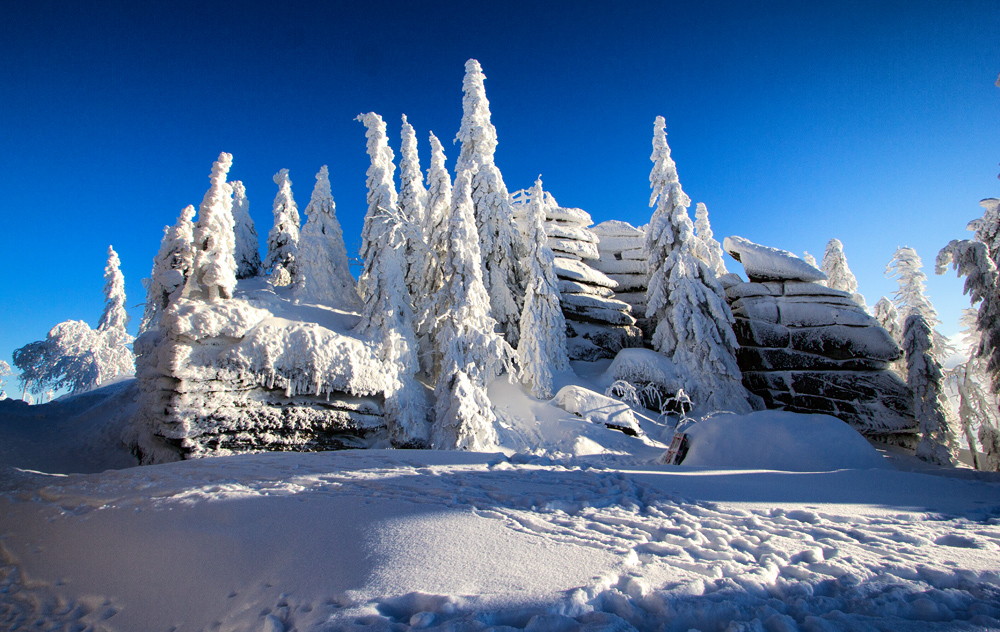 Winter auf dem Dreisesselberg