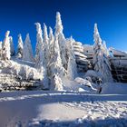 Winter auf dem Dreisesselberg