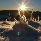 Winter auf dem Emberg bei Oberalba / Dermbach