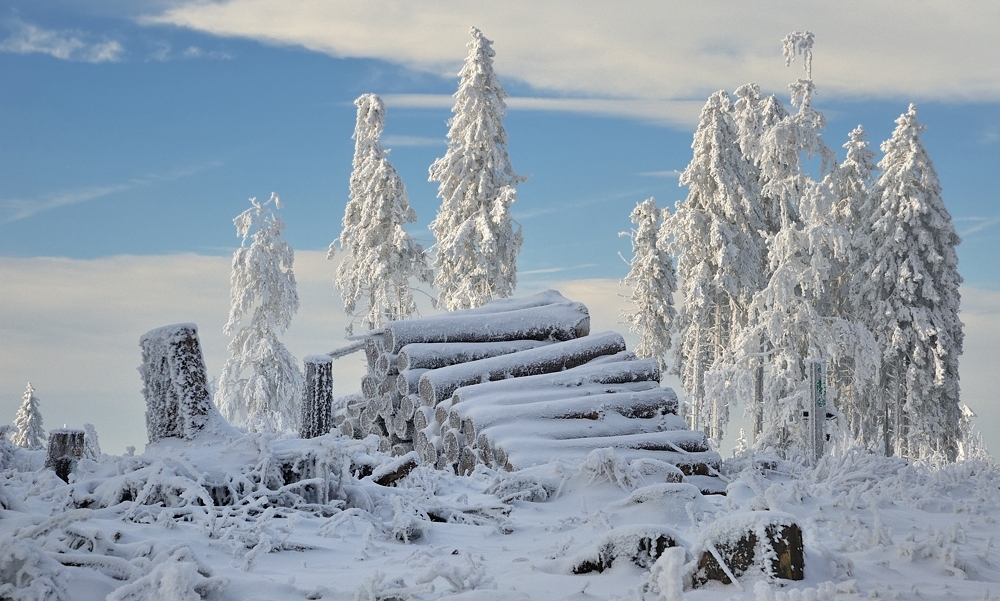 *Winter auf dem Erbeskopf*