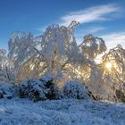 Winter auf dem Erbeskopf!