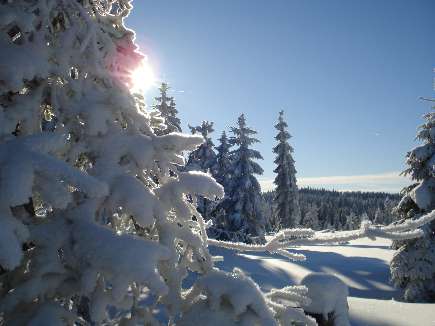 Winter auf dem Erzgebirgskamm 2