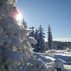 Winter auf dem Erzgebirgskamm 2