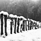 Winter auf dem Feld