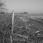 Winter auf dem Feld