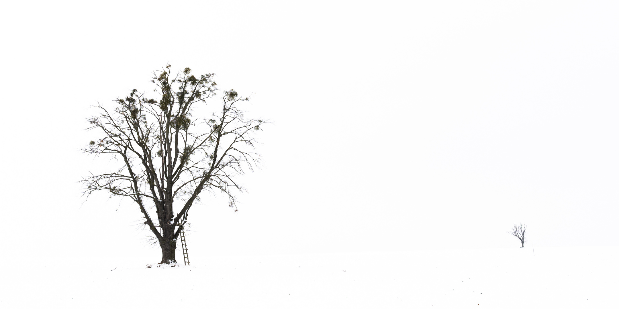 Winter auf dem Feld Variante 2