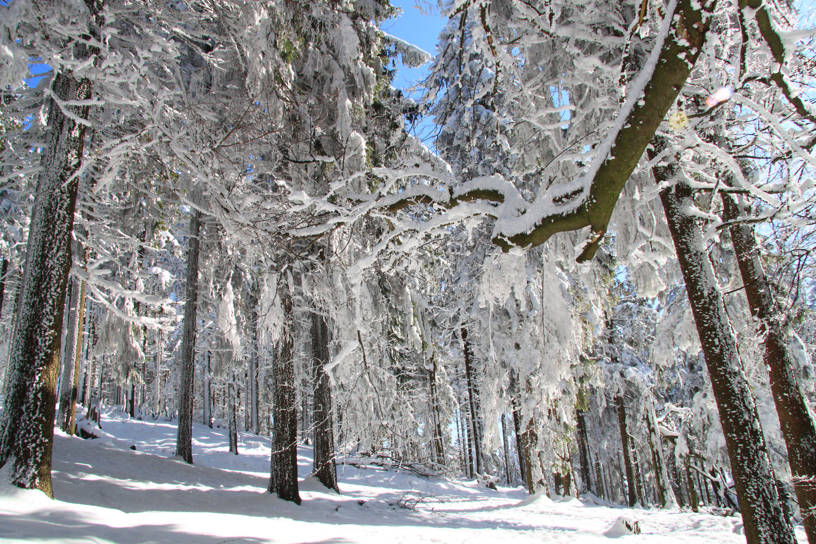 Winter auf dem Feldberg