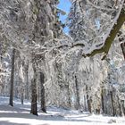 Winter auf dem Feldberg