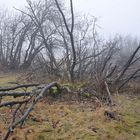 Winter auf dem Feldberg 3