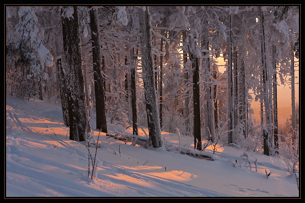 Winter auf dem Feldberg