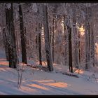 Winter auf dem Feldberg