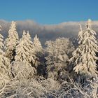 Winter auf dem Feldberg