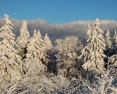 Winter auf dem Feldberg