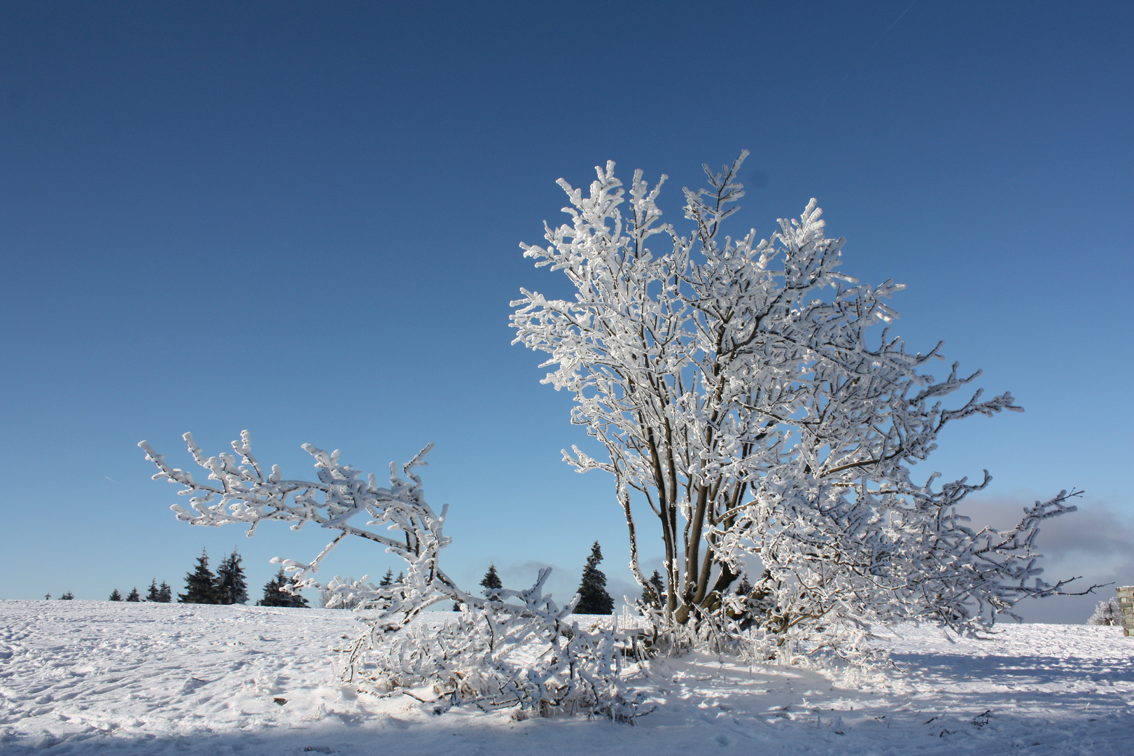 Winter auf dem feldberg