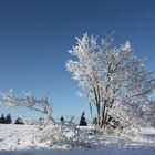 Winter auf dem feldberg