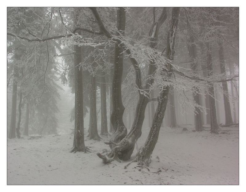 Winter auf dem Feldberg - die Zweite