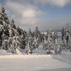 Winter auf dem Fichtelberg.......