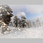 Winter auf dem Fichtelberg,  (Archiv) Februar 2012......