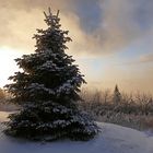 Winter auf dem Fichtelberg