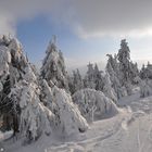 Winter auf dem Fichtelberg................., bei Minus -18°C