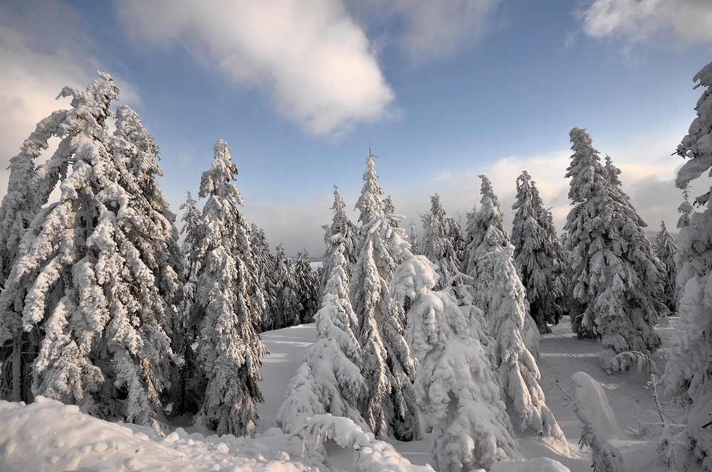 ******************* Winter auf dem Fichtelberg *******************bei Minus -18°C