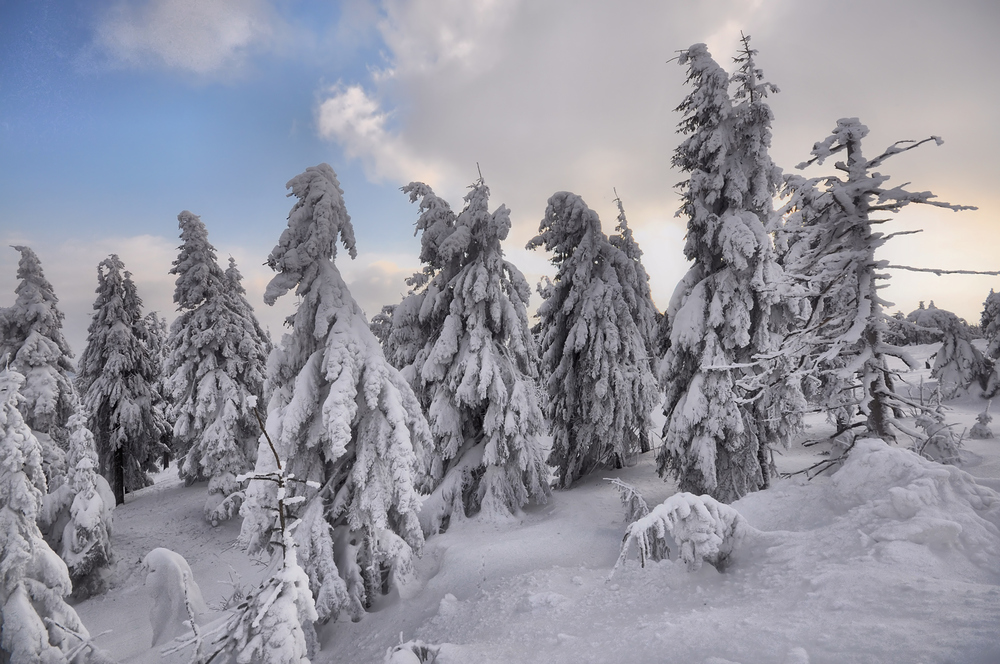 ********** Winter auf dem Fichtelberg *********, bei Minus -18°C