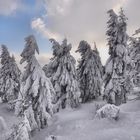 ********** Winter auf dem Fichtelberg *********, bei Minus -18°C