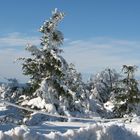 Winter auf dem Fichtelberg...